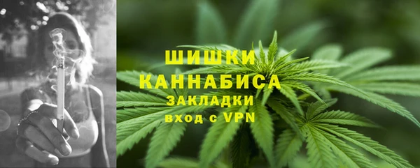ALPHA PVP Белокуриха