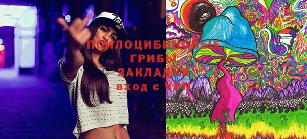 jwh Богородицк