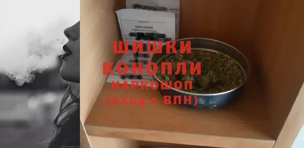 эйфоретик Богданович