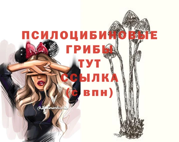 эйфоретик Богданович