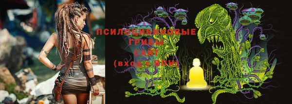 эйфоретик Богданович