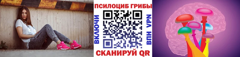 Купить  Берёзовский  Галлюциногенные грибы мухоморы 